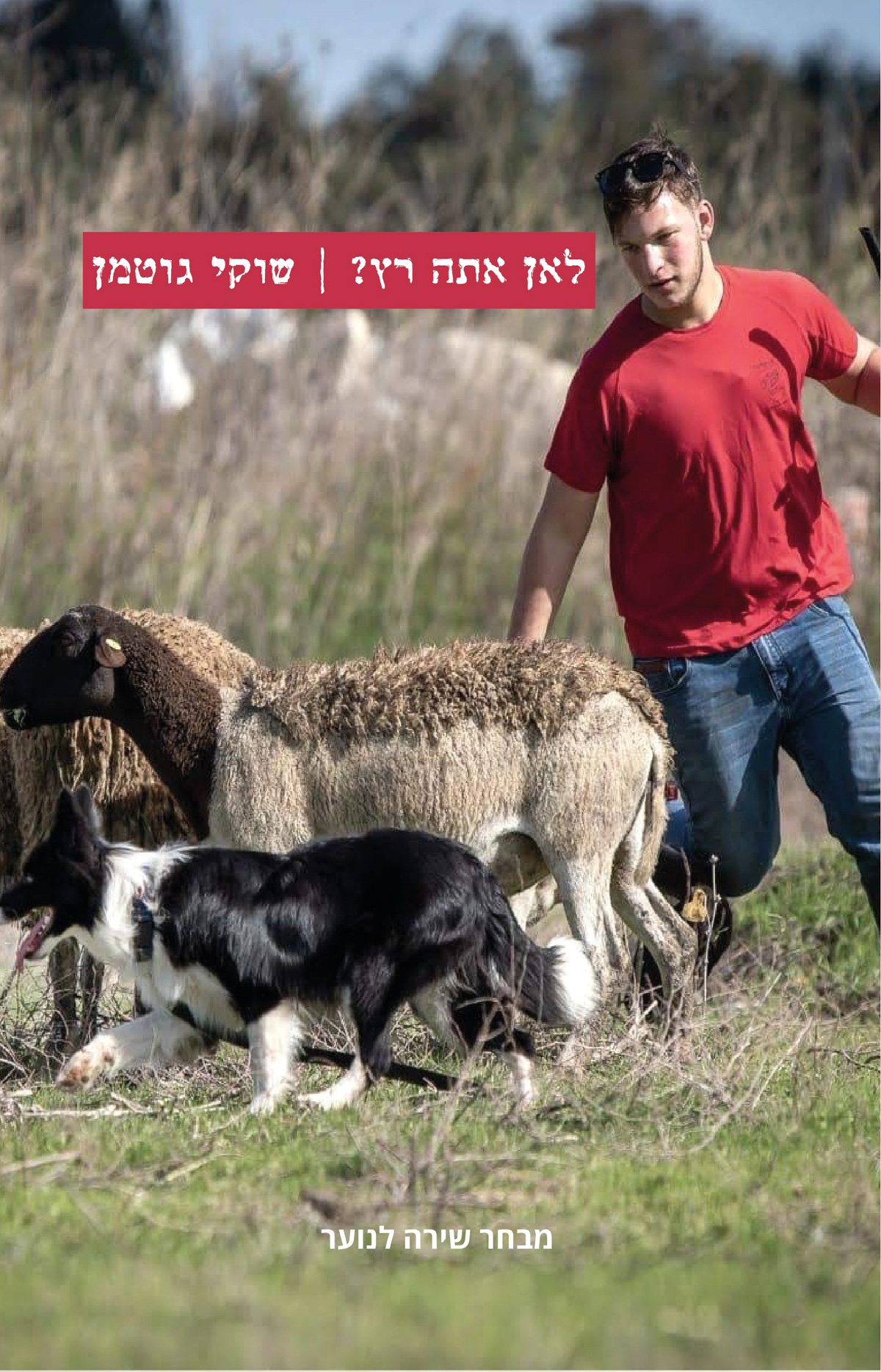 לאן אתה רץ? לאן אתה רץ?