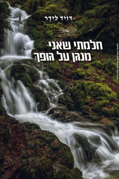 דויד לידר